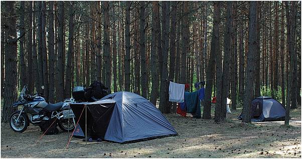 campground in National Park nearby IgnAlena(LV)