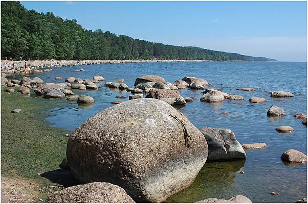 coast of the gulf of finland near Zelonogorsk(RU)
