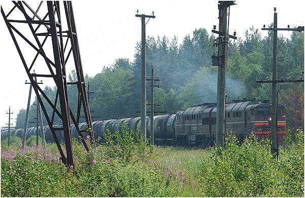 train near Slantsy(RU)