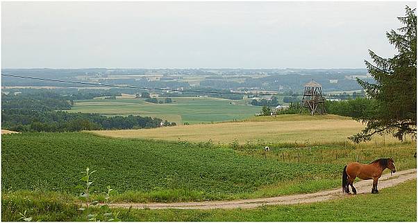 back to Poland(PL)